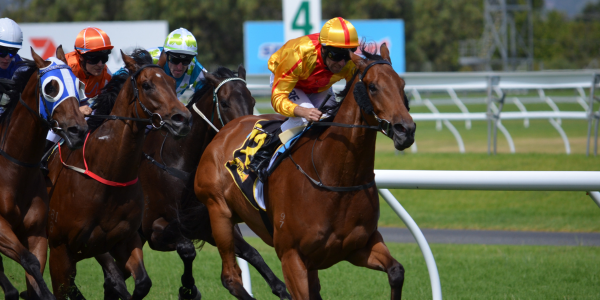 5 tips from SENPOS Support for a successful Melbourne Cup